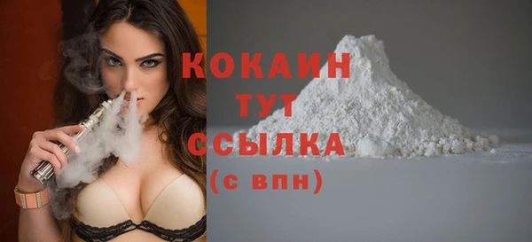 spice Алзамай