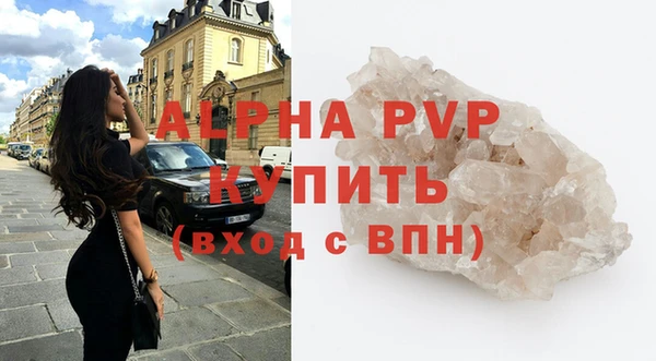 СК Алексин