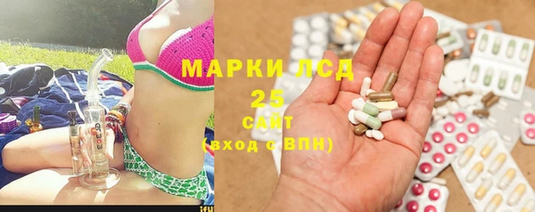 spice Алзамай