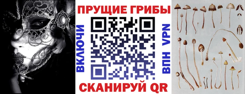 Галлюциногенные грибы Magic Shrooms  omg рабочий сайт  Карасук 