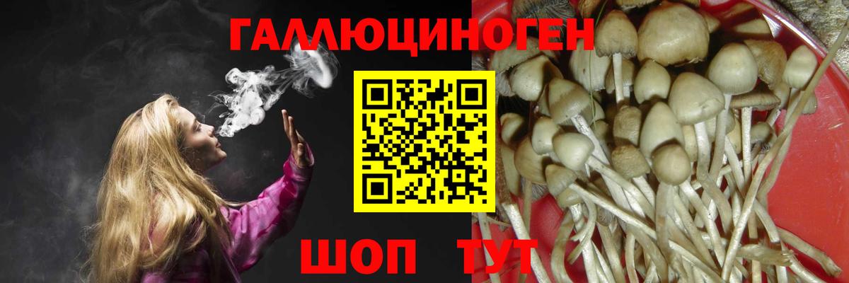 Псилоцибиновые грибы прущие грибы  Вход с VPN  продажа наркотиков  Карасук 